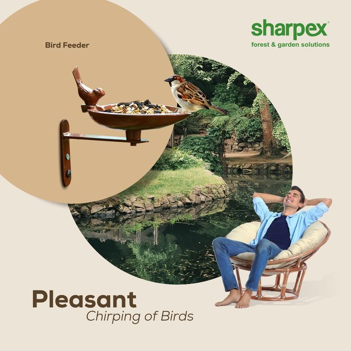 Do you enjoy the chirping of birds? Well, what if we tell you that you can just invite them to your garden and never miss their pleasant singing ever again? Easy to mount on trees or walls, Sharpex bird feeder, enables you to create spaces that birds find comfortable to reach out. Visit our website www.sharpex.com today to know more about our products.

#sharpexbirdfeeder #birdfeeder #sharpexindia #explore #gareden #gardeningaccessories #lawn #GardeningTools #ModernGardeningTools #GardeningProducts #Sharpex #sharpexindia