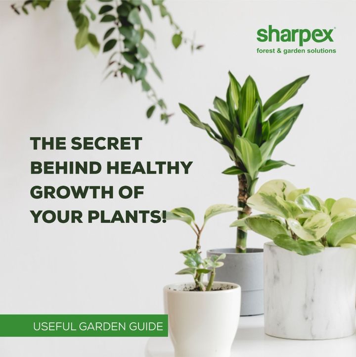 Do you know which nutrients are highly essential for your plants? Nitrogen, Phosphorous & Potassium. These are the three most important plant nutrition elements & our NPK liquid fertilisers are super easy to use.  Buy these ready to use liquid fertilizers from us @ www.sharpex.com

#sharpex #lovegardeing #liquidfertilizers #NPKfertilizers #plantgrowthboosters #plantnutrients #sharpexfertlizers #gardeningproducts #sharpexindia #gardeningenthusiastsinindia #gardeningenthusiasts #sharpexcommunity #lovesharpex
