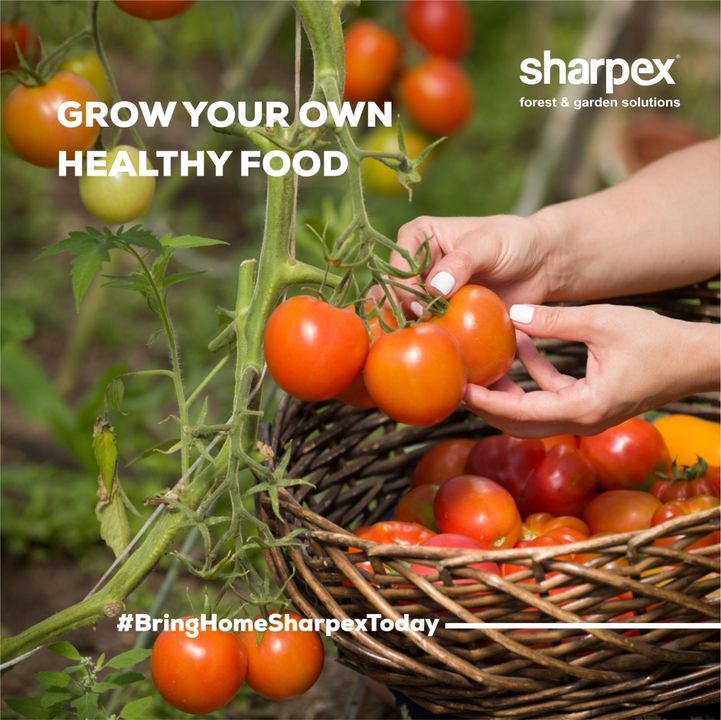 Are you a gardening enthusiast? Are you looking forward to creating a kitchen gardening set up at your home? If yes, then high-quality gardening solutions by Sharpex are here for you. Be it gardening pot mix or mini shovel, our wide range of products allows you to grow your veggies in style. So when you think gardening, think Sharpex gardening solutions. 
Visit our website www.sharpex.com to find gardening tools & equipment that you have been looking for so far.  

#garden #groworganic #healthifood #kitchengardening #gardeningtools #gardeningaccessories #sharpexgrowbags #sharpexliquidfertilizers #sharpexpottingmix #sharpex #sharpexindia #sharpexbringhometoday
