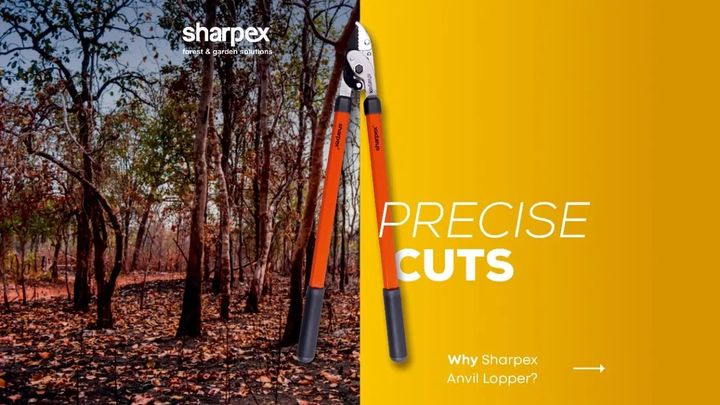 Sharpex Anvil Lopper, is designed to cut thick branches in the smoothest way possible. Its long arm allows you to easily cut the larger branches with a minimum effort. Change the way you cut and trim your garden branches with Sharpex Anvil Lopper. Visit www.sharpex.com to buy this great gardening tool by Sharpex.

#sharpex #lovegardening #sharpexindia #gardeningenthusiastsinindia #SharpexAnvilLopper #gardeningequipment #gardening #gardentools