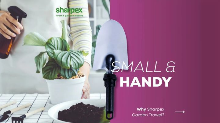 Highly durable and compact garden trowel by Sharpex can help you in planting your favourite plants this summer. 

Visit www.sharpex.com and check similar gardening products today.

#sharpex #lovegardening #sharpexindia #gardeningenthusiastsinindia #sharpexgqrdentrowel #gardeningaccessories #gardening #gardenequipment