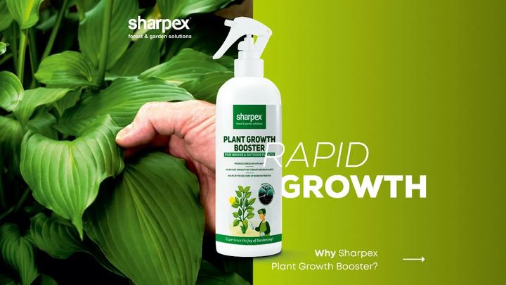 Our ready to use plant growth booster aids in improving plant growth in the most efficient way. The spray bottle mechanism allows you to direct the delivery of micronutrients to leaves. Extracted from the biogas treatment plant, elements of our growth booster spray are completely natural. 

You can check out this amazing spray by visiting our website www.sharpex.com.

#sharpex #lovegardening #sharpexindia #gardeningenthusiastsinindia #plantgrowthbooster #gardeningsuppliments #gardening #gardenequipment