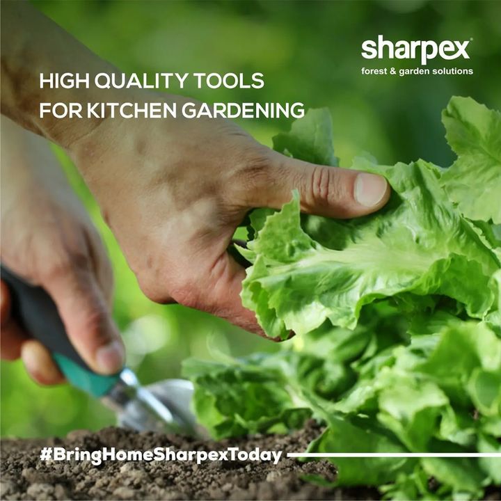 There is no joy like growing your own food at home. If you are a kitchen gardening enthusiast, our high-quality gardening tools can double the joy of your kitchen gardening. Visit www.sharpex.com today to check out our high-quality tools and equipment today.  

#sharpex #lovegardening #sharpexindia #gardeningenthusiastsinindia #sharpexgardeningtools #gardeningaccessories #gardening #gardenequipment