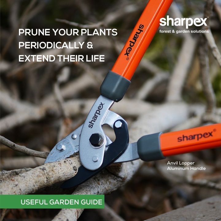 Sharpex Engineering,  Sharpex3BladeHedgeShear, GardeningAccessories, GardeningTools, ModernGardeningTools, GardeningProducts, GardenProducts, Sharpex, SharpexIndia, SharpexSecateurs