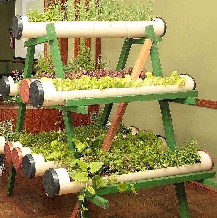 Grow your own food!