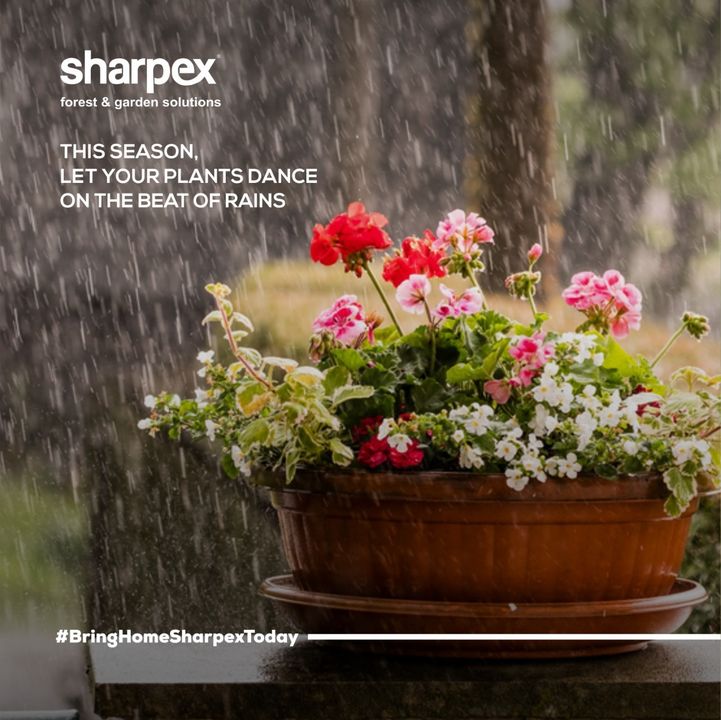 Be it the tiny tabletop micro-greens or your favourite shrubs; this rainy season, prepare your favourite plants for a perfect monsoon experience. Visit www.sharpex.com today and explore a range of our outstanding gardening tools & gardening decor items. 

#sharpex #sharpexcommunity #gardening #lovegardening #sharpexbringhometoday #gardeningtools #gardendecor #sharpexindia