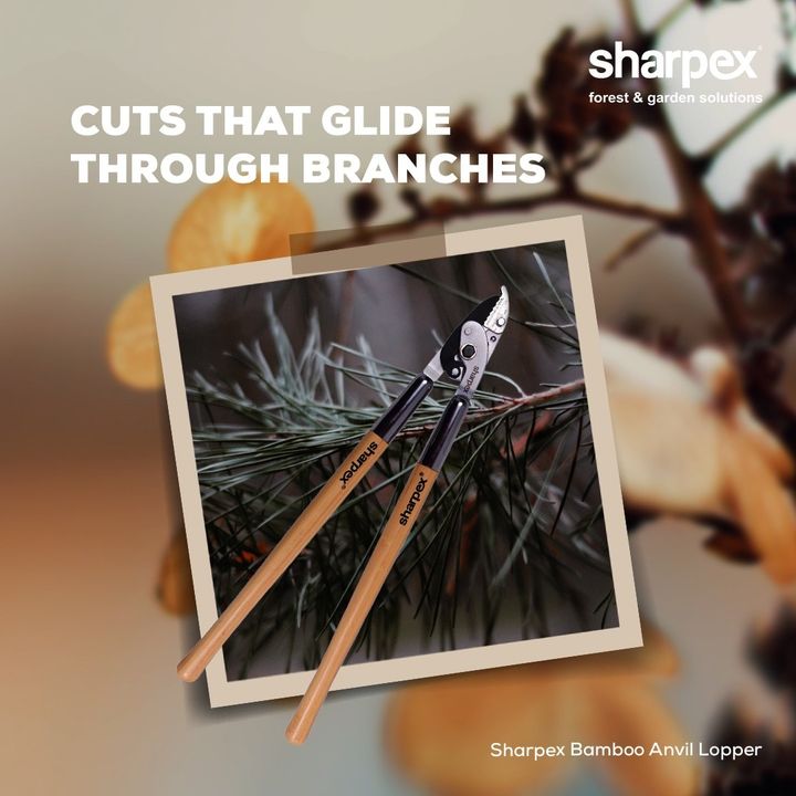Sharpex anvil bamboo lopper is a highly durable anvil lopper that is built for a seamless lopping of your plants. With this lo[pper, you not only get a strong grip but its ratchet mechanism makes the overall lopping experience very convenient. 

Visit www.sharpex.com today to check out this product.  

#sharpex #sharpexcommunity #gardening #lovegardening #sharpexbambooloppper #lopping #branchlopping #gardeningtools #gardendecor #sharpexindia