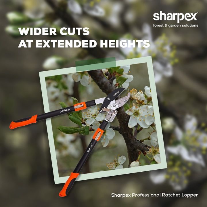 Sharpex telescopic professional ratchet lopper lets you reach extended heights with easy and convenient cuts. Its sturdy grip gives adequate comfort that’s needed for the seamless lopping experience. To buy this product, visit our website www.sharpex.com today and make your gardening experience more memorable. 

#sharpex #sharpexcommunity #gardening #lovegardening #sharpexprofessionalratchetlopper #lopping #branchlopping #gardeningtools #gardendecor #sharpexindia