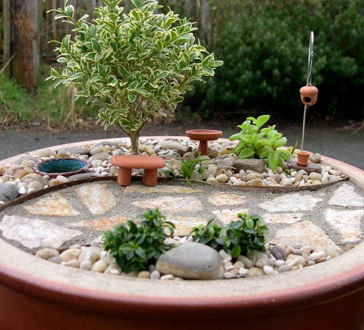 Bringing Your Outdoor Mini Garden Inside