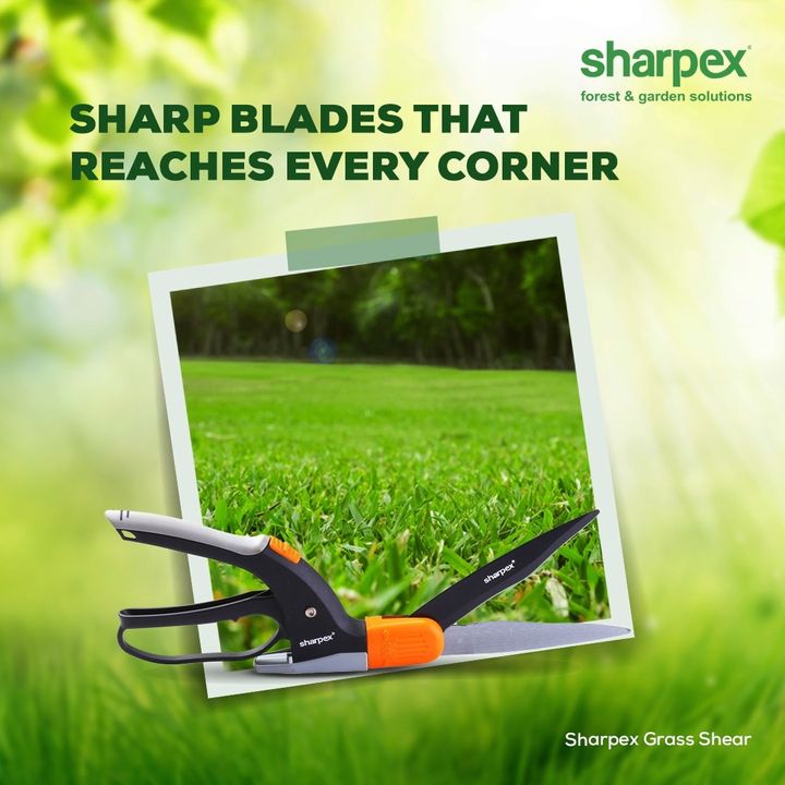 Equipped with razor-sharp blades for precision cuts and a 360-degree adjustment system, the Sharpex Grass Sheer allows you to reach every corner of your grass lawn. So when you are giving the final finish to your lawn, this one product is all that you need to leave the mark of perfection. Visit www.sharpex.com today to check out this product today.

#sharpex #sharpexcommunity #gardening #lovegardening #sharpexgrassshear #grasscutting #gardeningtools #gardendecor #sharpexindia