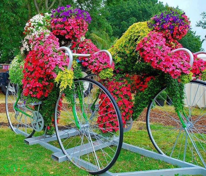 The cycling flowers at brockwall park, London.