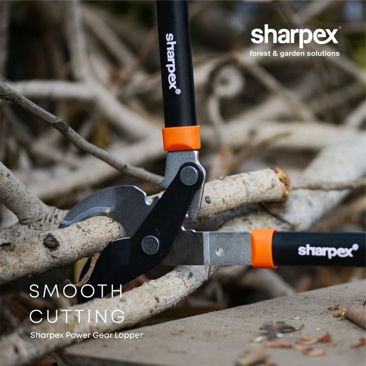 Sharpex Engineering,  outdoorgarden