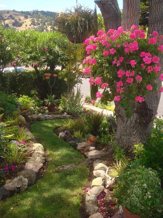 wonderful garden!!