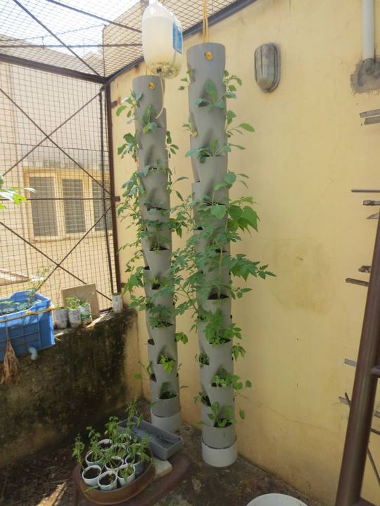 Source: http://vinaymagadi.wordpress.com/2009/08/31/vertical-garden-in-a-plastic-pipe/