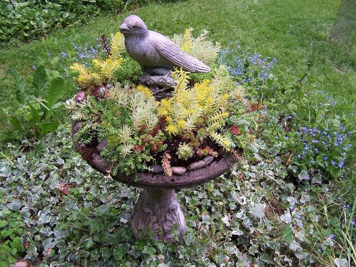 garden with bird sculpture!