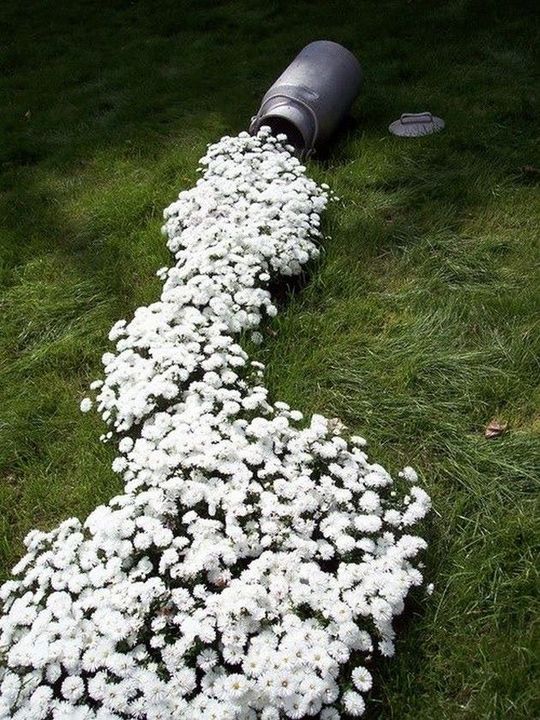 Awww...Its really nice #gardening idea...!! 
What you say..??
