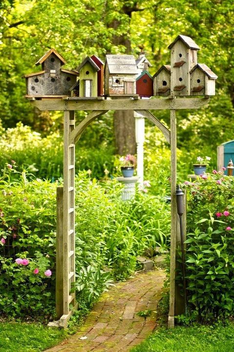 Small Bird Town in #Garden