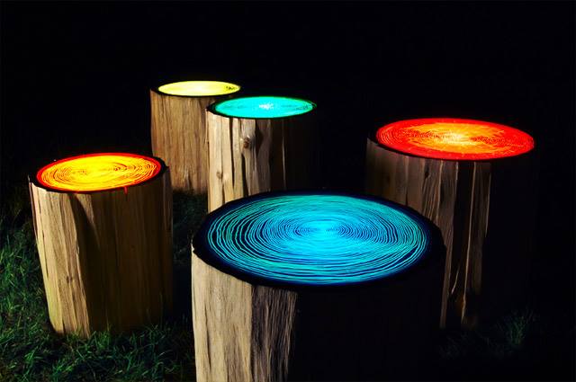 Tree Ring Lights by Judson Beaumont