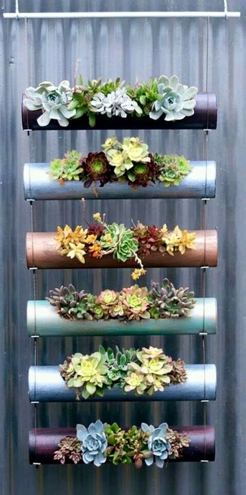 Its very easy to make this beautiful #hangingplant
just paint PVC pipe with your favorite color. place succulents on it & hang on your window.
