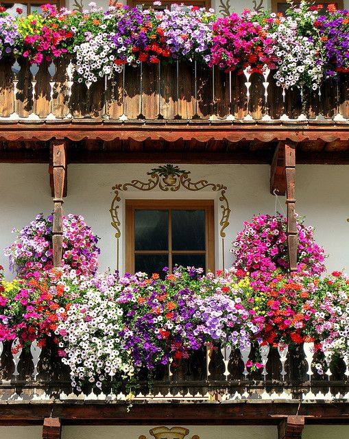 Wonderful #balcony decoration ideas with flower #plant