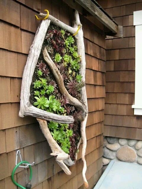 Amazing wall #garden ideas...save space & look beautiful.👌
#gardening #homegarden