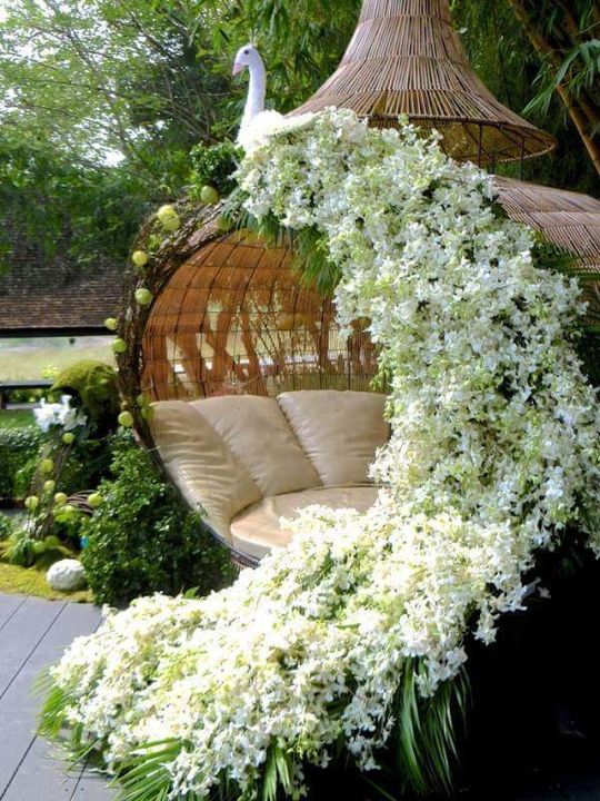 Amazing idea to decorat your backyard #garden