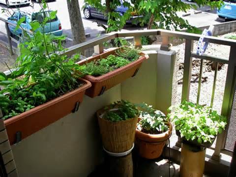 small apartment balcony garden ideas!