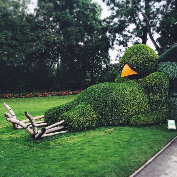 sleeping bird in botanical garden