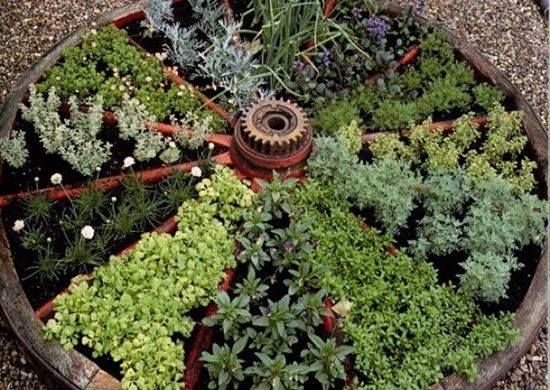 make your own WAGON WHEEL OF HERBS garden!