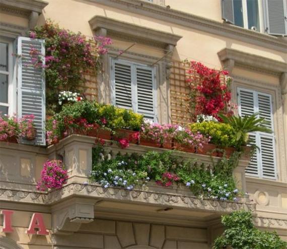 Tiny Balcony gardening!!