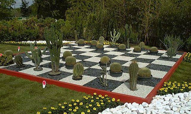 cactus garden!