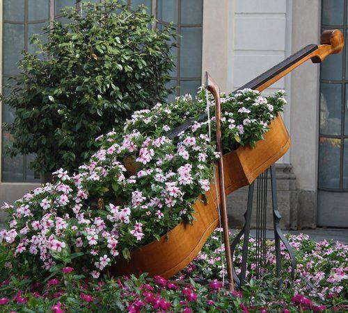 #GardeningArt using a musical instrument
