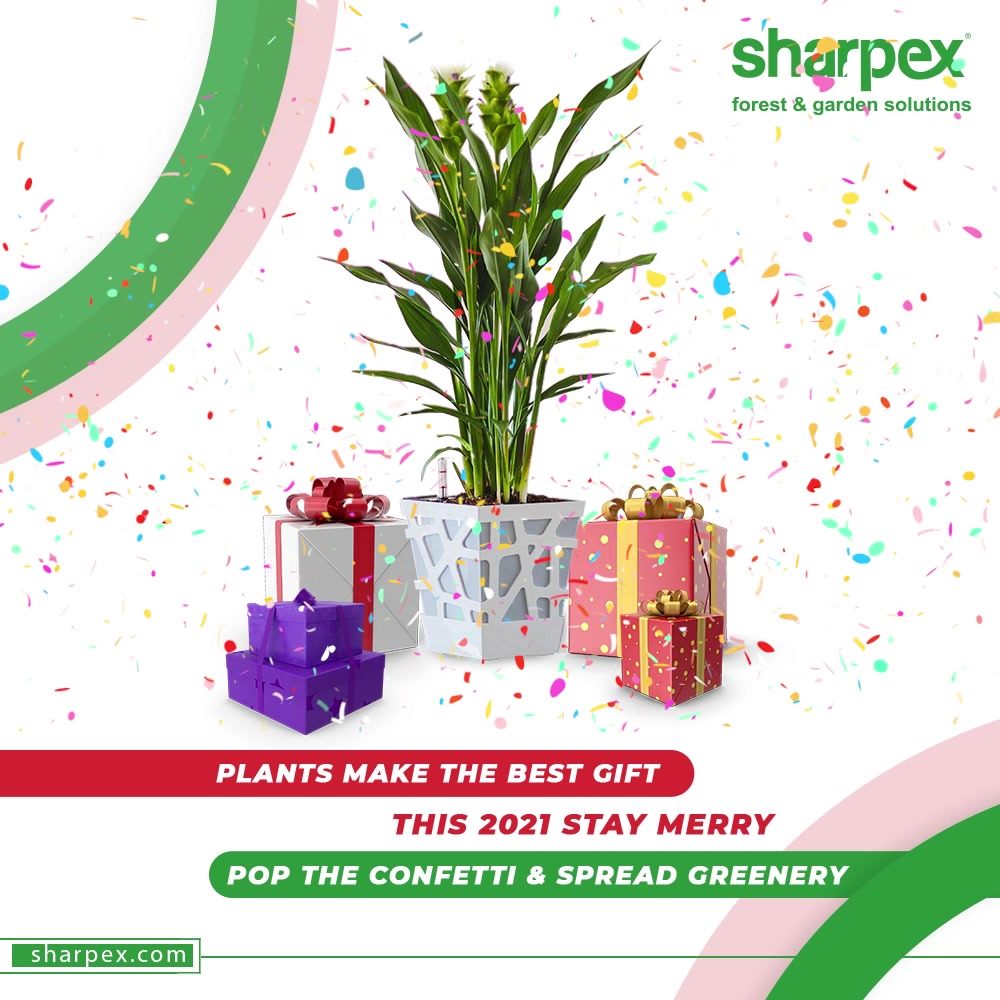 Plants make the best gift; hence the plants deserve to be planted right.

This 2021 stay Merry; pop the confetti & spread greenery with the kind kind of gardening accessories from Sharpex Gardening And Community.

#NewYearResolution #Resolutions2021 #BeAGardener #GardenLovers #GardeningAccessories #GardeningTools #ModernGardeningTools #GardeningProducts #GardenProduct #Sharpex #SharpexIndia