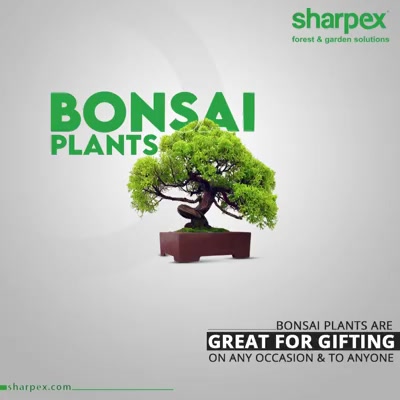 Bonsai plants are popular for their artistic designs that are aesthetically appealing and visually gratifying. 

The sheer beauty of the bonsai plants along with the nutritive value makes them ideal for gifting on any occasion and to anyone.

#BonsaiPlants #GardeningTools #ModernGardeningTools #GardeningProducts #GardenProduct #Sharpex #SharpexIndia
