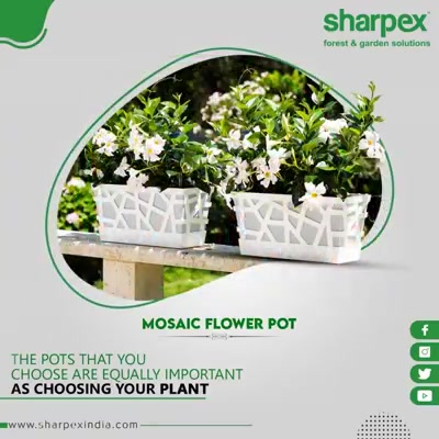 The flower pots you choose are equally important.

Allow the indoor plants to bloom with grace and compliment your home-décor.

#MosaicFlowerPot #FlowerPot #GardeningTools #ModernGardeningTools #GardeningProducts #GardenProduct #SharpexIndia